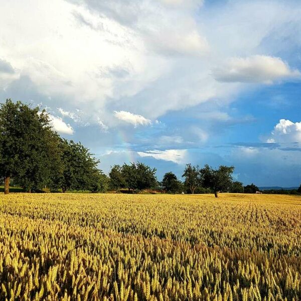 Agricultural Products