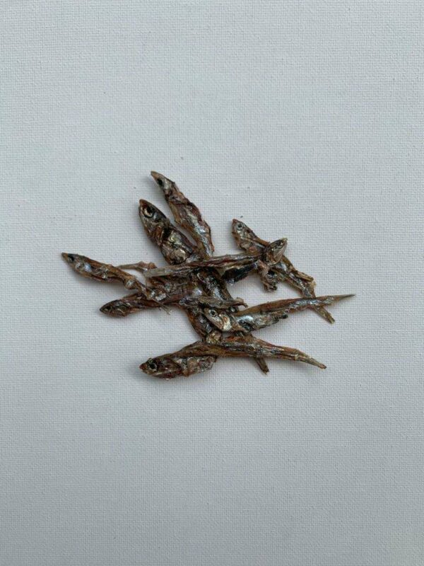 IMG-20210711-WA0030 IMG-20210711-WA0030