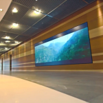 All-Day Video Reels on Mega Screen