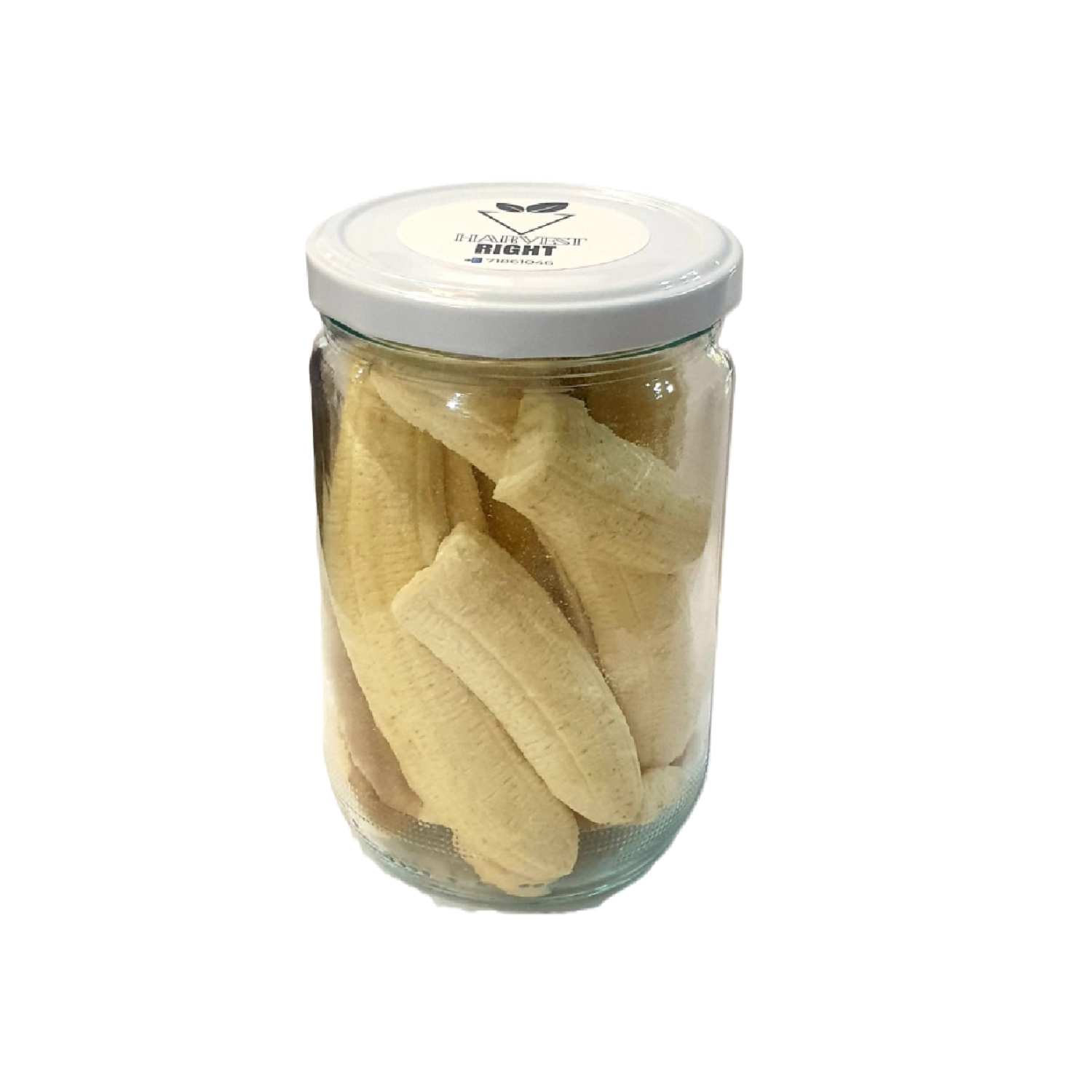 Freeze dried baladi bananas
